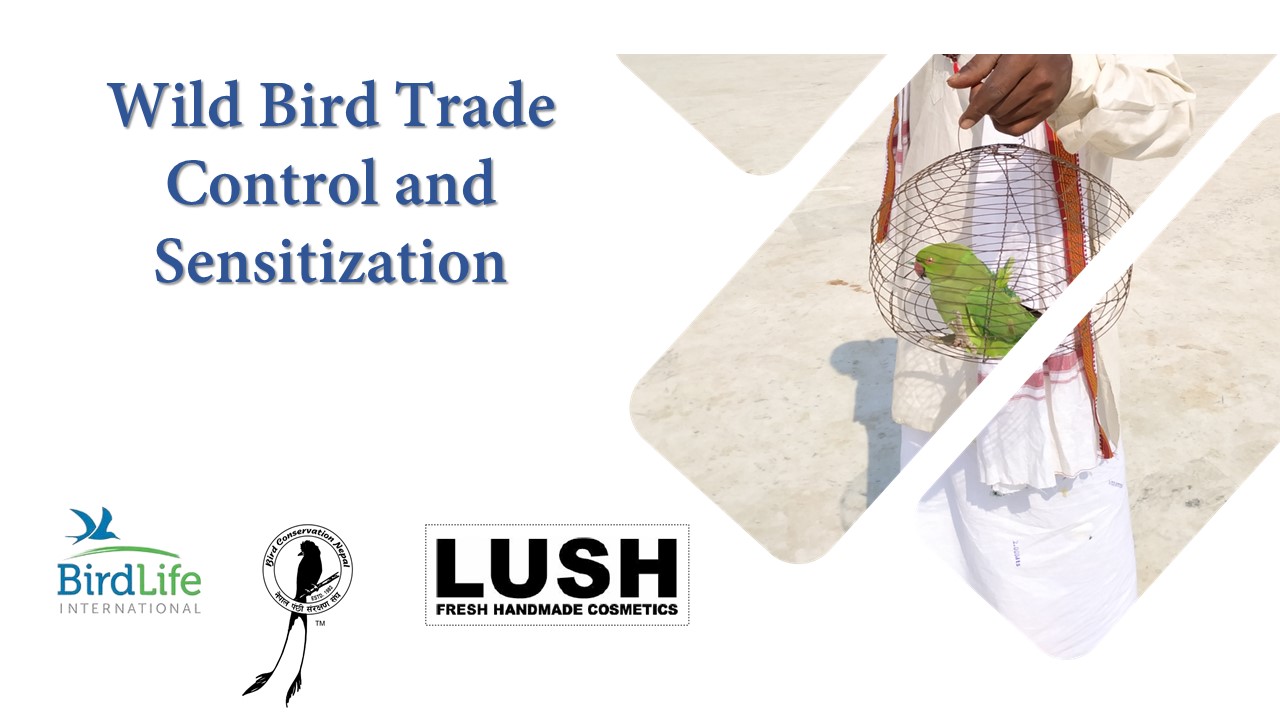 Wild Bird Trade Control and Sensitization