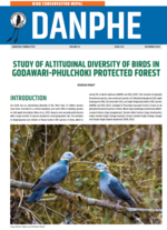 Danphe_December_2024