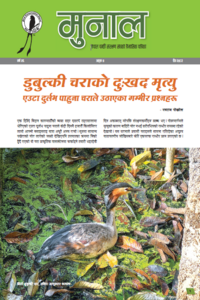 Munal_Chait_2082